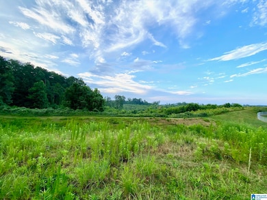 0 Johnson St unit 21425926, Heflin, AL 36264 - photo 7