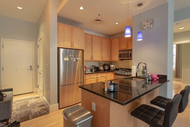 Lincoln Plaza II unit L519, Boston, MA 02111 - photo 3