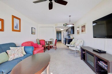 1702 N Ocean Blvd unit 355 Atlantica Resort, Myrtle Beach, SC 29577 - photo 4