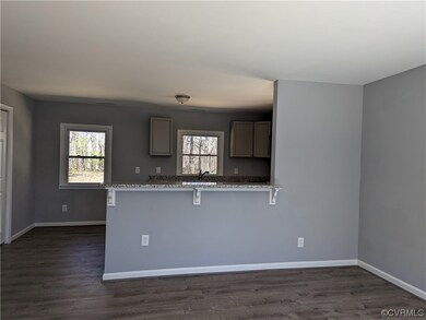 9122 E Patrick Henry Rd, Ashland, VA 23005 - photo 4