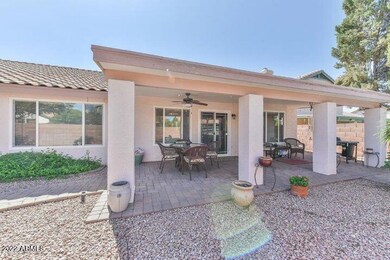 rose marie patio
