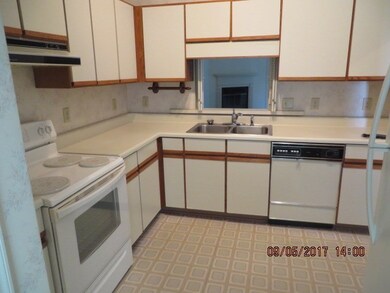 Lots of Cabinet Space