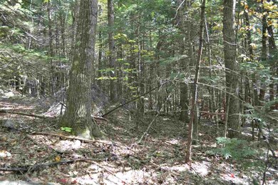 3 Sagamore Ridge unit Lot 6, Tuftonboro, NH 03816 - photo 2