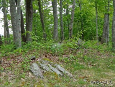 34 Heritage Ridge Rd, Burnsville, NC 28714 - photo 4