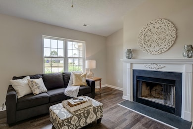 232 Red Berry Dr Richlands NC-print-006-