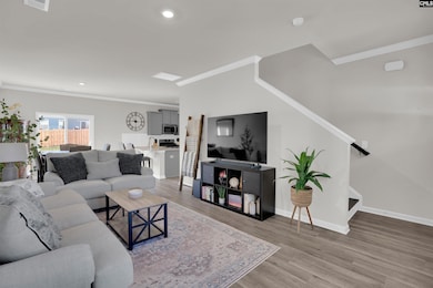 524 Silver Dipper Run, Lexington, SC 29072 - photo 6