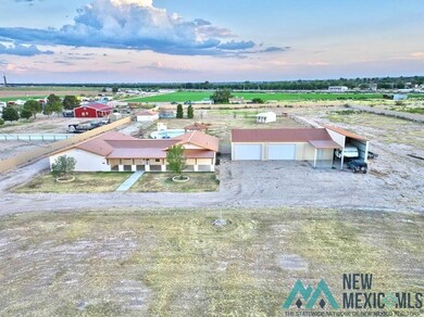 1007 Carnation Aly, Carlsbad, NM 88220 - photo 2