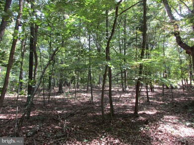 0 Tabor Rd unit 1000202295, Berkeley Springs, WV 25411 - photo 7