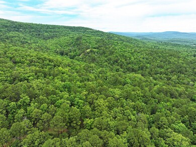 473763 E 993 Rd, Muldrow, OK 74948 - photo 7