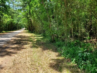 0 Sweet Gum Dr unit 36517348, Hockley, TX 77447 - photo 3