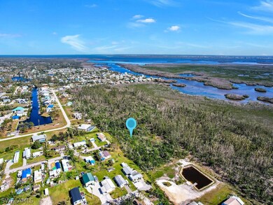 11301 Arden Lakes Dr, Pine Island Center, FL 33922 - photo 4