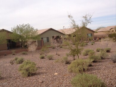 Backyard View
