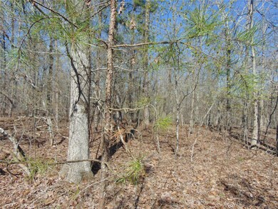 0 Tbd Co Rd 431, Poplar Bluff, MO 63901 - photo 5