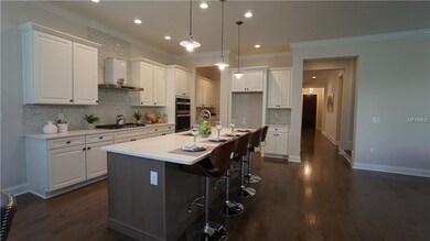 Gourmet Natural Gas Kitchen