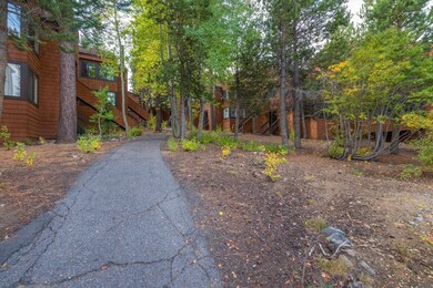 Walk through mature landscaping to your front door