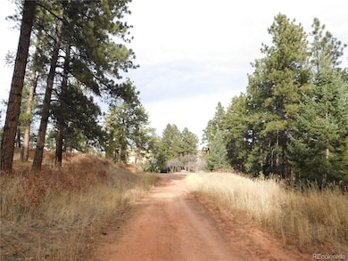 8055 Acoma Dr, Larkspur, CO 80118 - photo 3