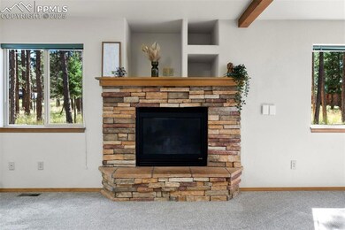 316 N Walnut St, Woodland Park, CO 80863 - photo 7