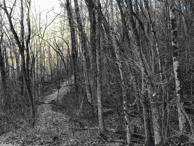 00 Arkansas 337, Heber Springs, AR 72543 - photo 6