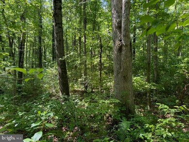 224 Spring Rd, Millington, MD 21651 - photo 4