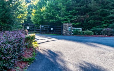 Additional View
