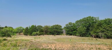 2750 Carter Rd, Springtown, TX 76082 - photo 7