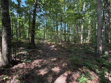 Lot 26 Little Place, Monterey, TN 38574 - photo 7