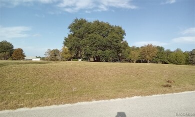 3172 N Boswell Terrace, Hernando, FL 34442 - photo 2