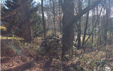 Additional View