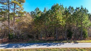 5667 Longview Dr, Kenbridge, VA 23944 - photo 5