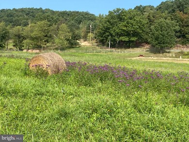 1279 Thorn Run Rd, Grant, WV 26833 - photo 2