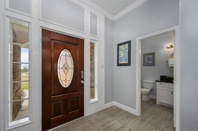 10703 Harry Dr, Needville, TX 77461 - photo 7