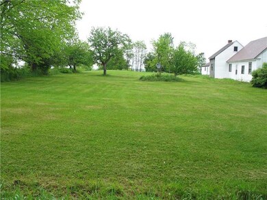 Yard/Garden.