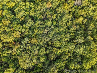 00168 N4400, Webbers Falls, OK 74470 - photo 7