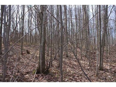 Land/Lot