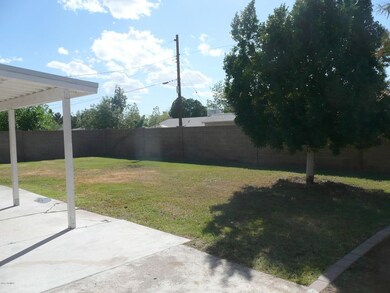 Large Backyard