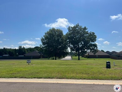 432 Paisley Cir, Texarkana, AR 71854 - photo 4