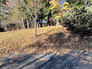 40 Park Dr, Running Springs, CA 92382 - photo 2