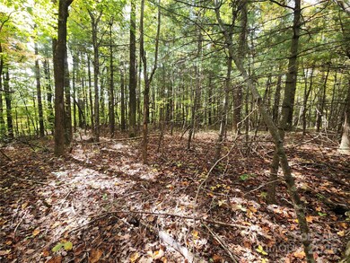 99999 N Pointe Dr unit 5 and 30, Zirconia, NC 28790 - photo 4