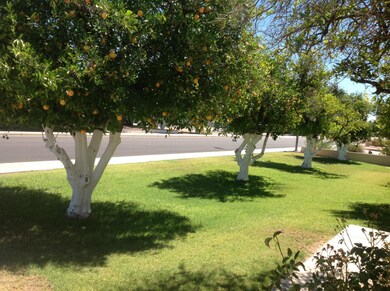 4233 E Hackamore St, Mesa, AZ 85205 - photo 6