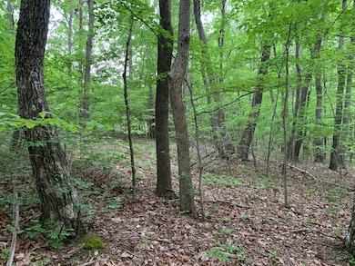 000 Stewart Ln, Rising Fawn, GA 30738 - photo 3