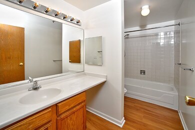 1715 Chicago Ave unit 302S, Evanston, IL 60201 - photo 4