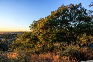 21 Scenic Ridge Dr, Fredericksburg, TX 78624 - photo 4
