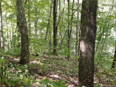 Standing on top of property looking towards state 