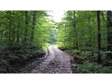0 Branch Hill Rd unit 4505296, Readsboro, VT 05350 - photo 3