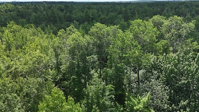 DJI_20240719122009_0080_D