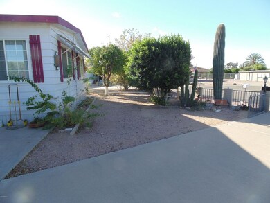 Spacious side yard