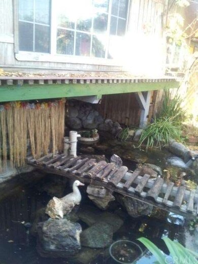Fish pond