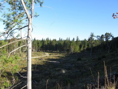 0 N Pass Rd unit 695855, Everson, WA 98247 - photo 2