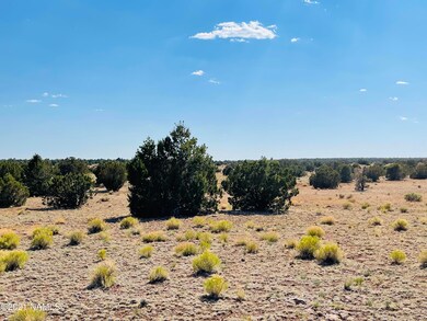 4752 Lasso Loop Photo 7