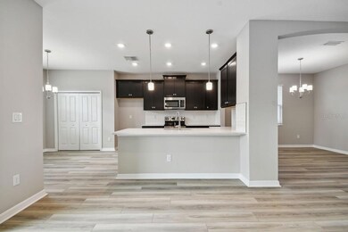 5005 Emerald Acres Way, Zephyrhills, FL 33541 - photo 6